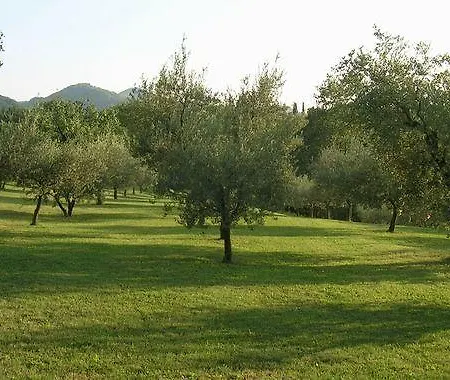 Villa Il Cigno Brisighella