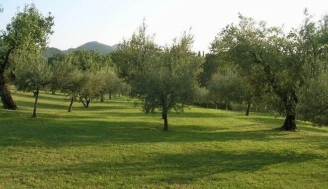 别墅 Il Cigno 布里西盖拉