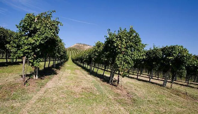 Вилла Il Cigno *