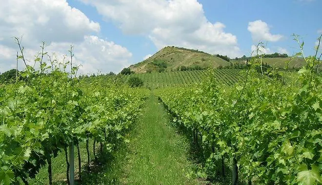 Вилла Il Cigno Бризигелла