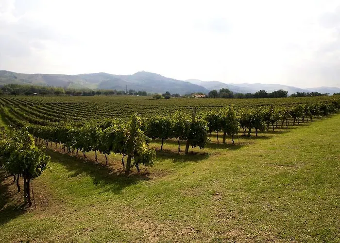 Il Cigno Вилла *